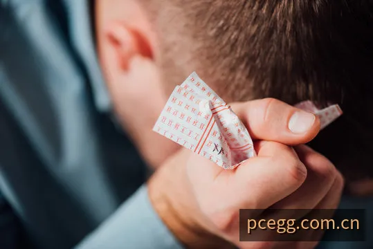 PC蛋蛋历史开奖数据分析